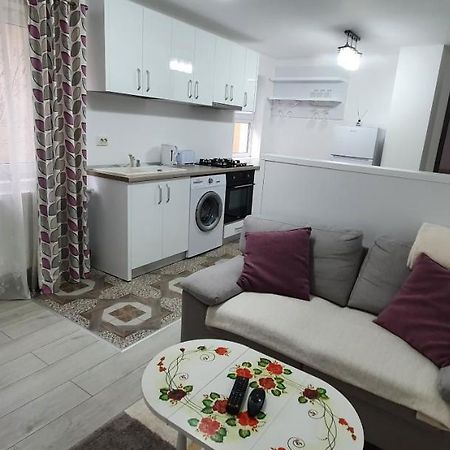 Nehoiu Apartament Apartment Ngoại thất bức ảnh