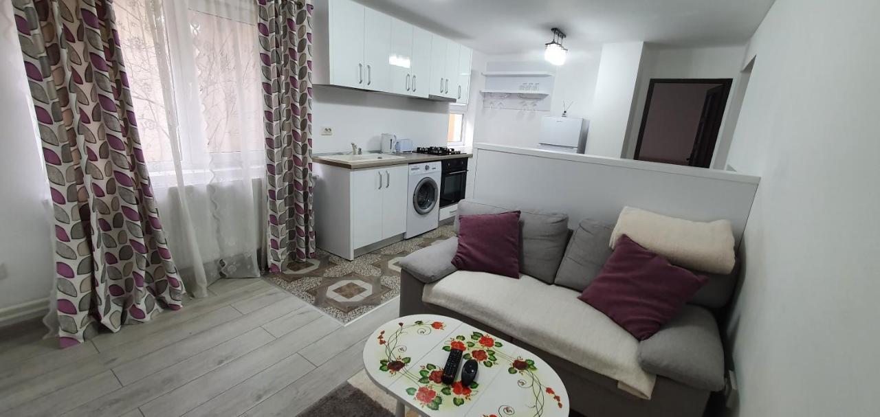 Nehoiu Apartament Apartment Ngoại thất bức ảnh